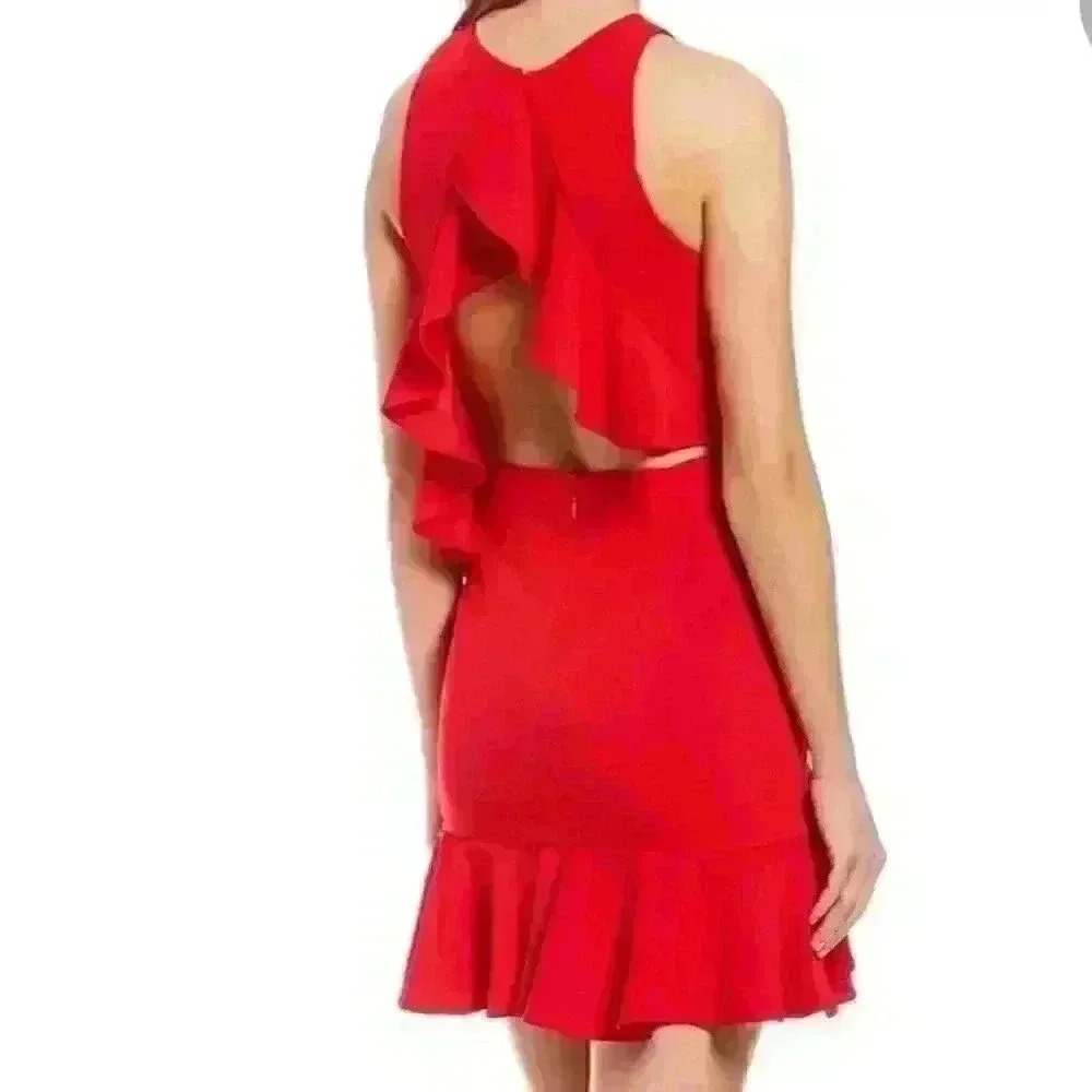 ❤️Michelle A Walk in the Park Ruffle Dress - Picture 3 of 6